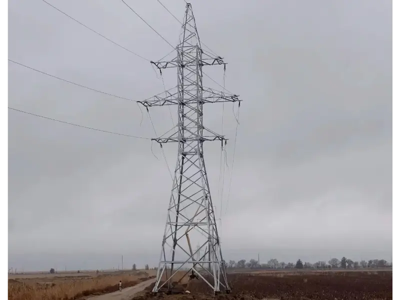 माओ टोङको ग्राहक प्रतिक्रिया